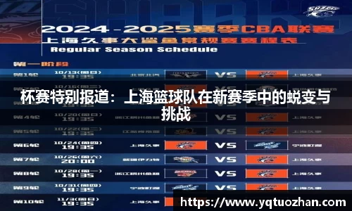 mk体育